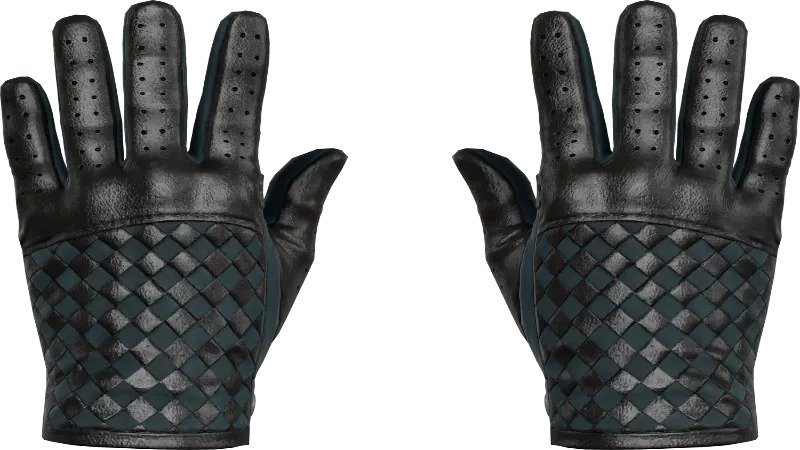 CSGO drivers gloves