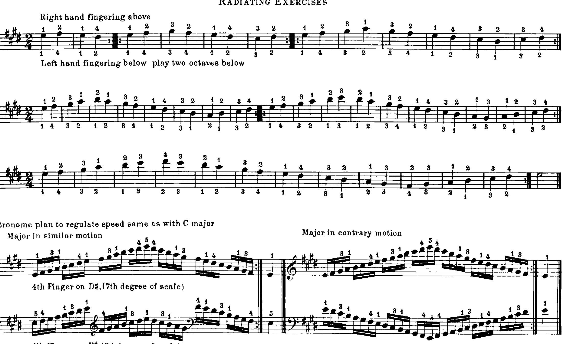 Hytale Persists: Founding Developers Secure Rights from Riot