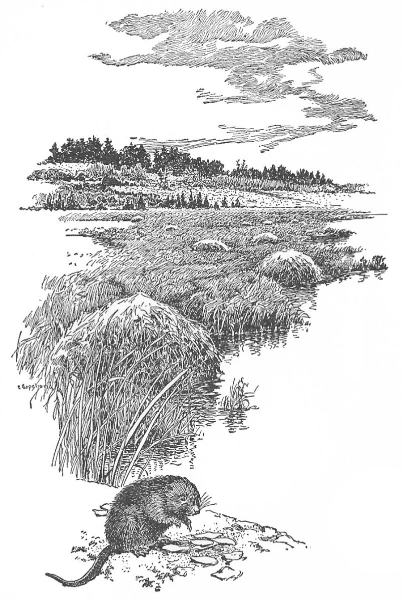 Winter Burrow: A Snug Survival Game Drawn from Over the Garden Wall