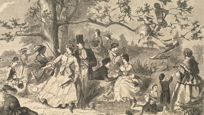 What is everyone engaging with this weekend?