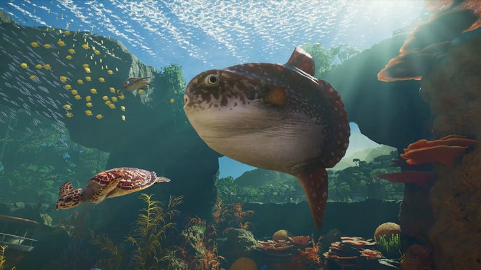 Planet Zoo 2 Launching This Year with Marine Creatures, Thrilling Updates for Mola Mola Enthusiasts