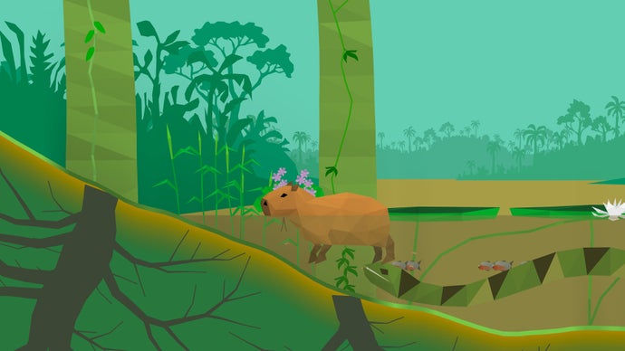 Polyzonia: A Simulation of an Ecosystem Restoring the Amazon Rainforest to Self-Sufficiency